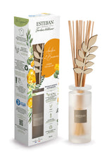 Ambre et Baume Duftbukett von Esteban