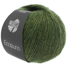 ECOPUNO