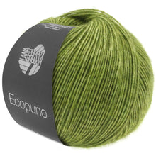 ECOPUNO