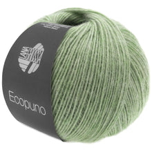 ECOPUNO