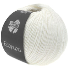 ECOPUNO