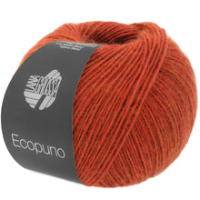 ECOPUNO
