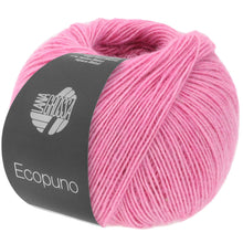 ECOPUNO