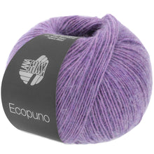 ECOPUNO