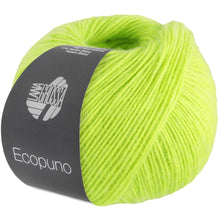 ECOPUNO