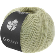 ECOPUNO