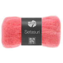 SETASURI