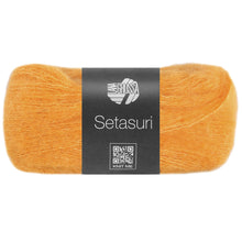 SETASURI