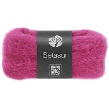 SETASURI